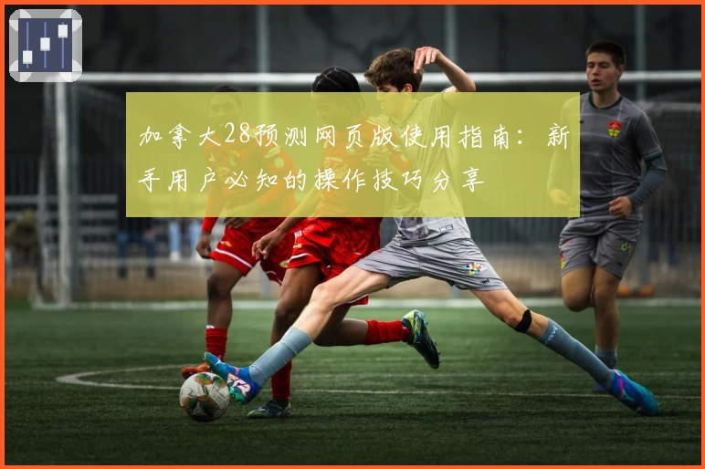 加拿大28预测网页版使用指南：新手用户必知的操作技巧分享