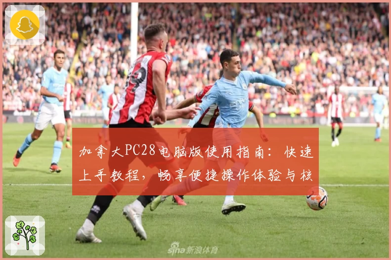 加拿大PC28电脑版使用指南：快速上手教程，畅享便捷操作体验与核心功能解析