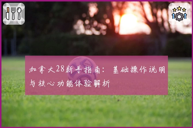 加拿大28新手指南:基础操作说明与核心功能体验解析