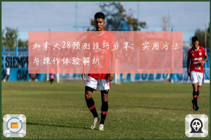 加拿大28预测技巧分享：实用方法与操作体验解析