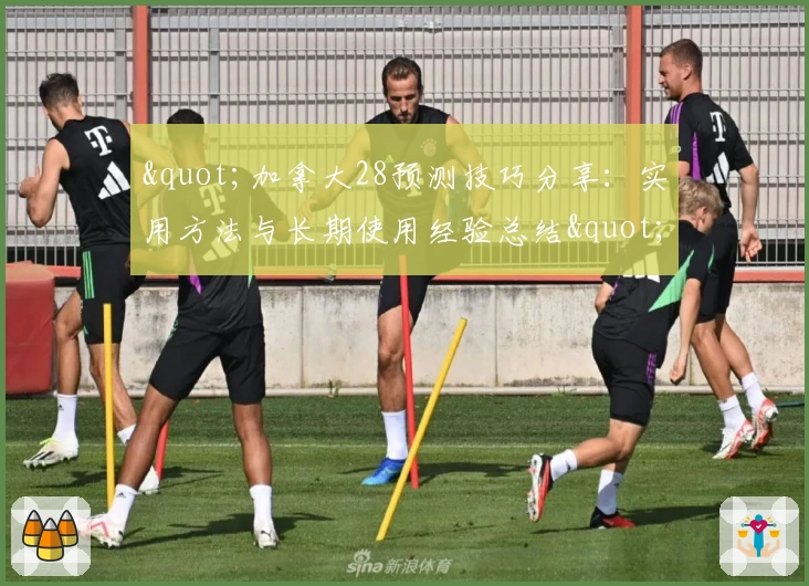 "加拿大28预测技巧分享：实用方法与长期使用经验总结"