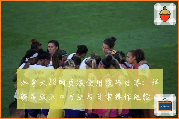 加拿大28网页版使用技巧分享：详解高效入口方法与日常操作经验