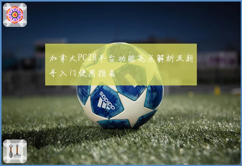 加拿大PC28平台功能亮点解析及新手入门使用指南