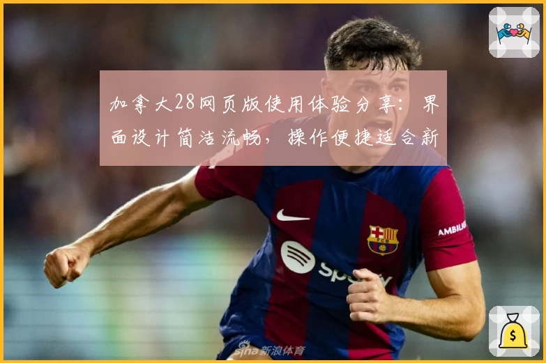 加拿大28网页版使用体验分享：界面设计简洁流畅，操作便捷适合新手用户