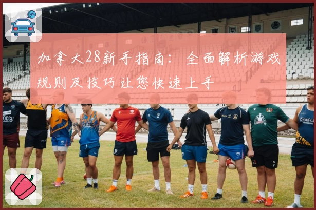 加拿大28新手指南：全面解析游戏规则及技巧让您快速上手