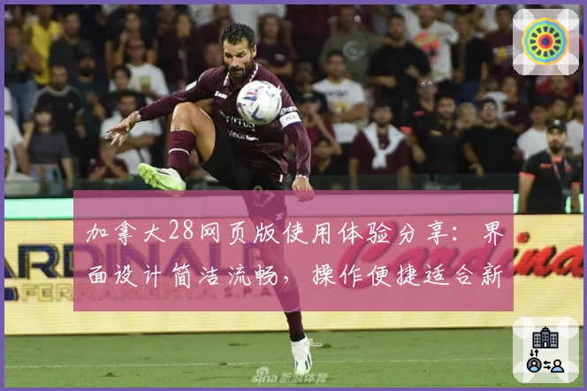 加拿大28网页版使用体验分享：界面设计简洁流畅，操作便捷适合新手用户