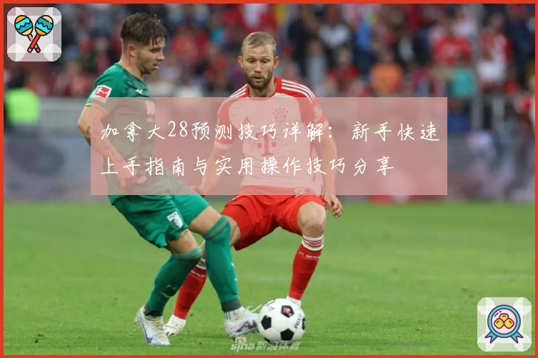 加拿大28预测技巧详解：新手快速上手指南与实用操作技巧分享