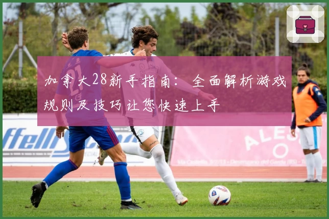 加拿大28新手指南:全面解析游戏规则及技巧让您快速上手