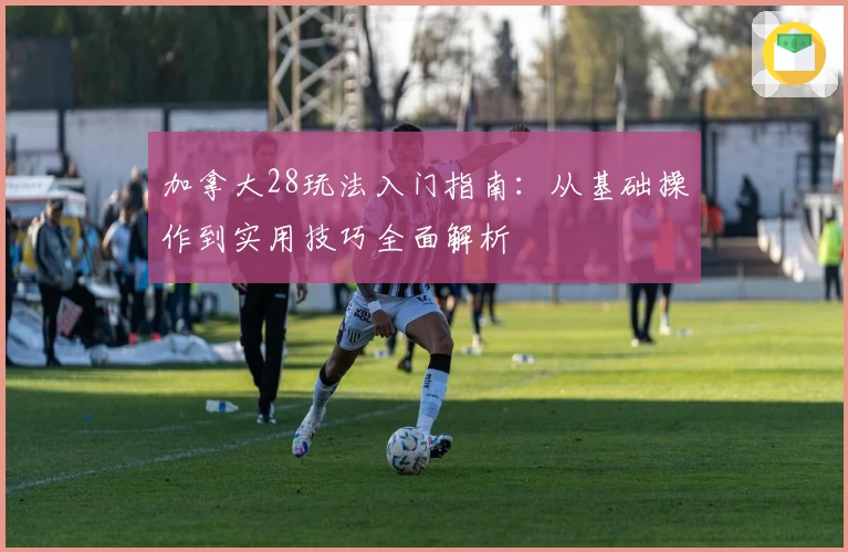 加拿大28玩法入门指南：从基础操作到实用技巧全面解析