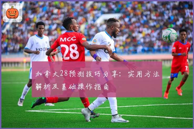 加拿大28预测技巧分享：实用方法解析及基础操作指南