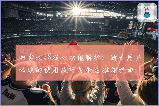 加拿大28核心功能解析：新手用户必读的使用技巧与平台推荐理由