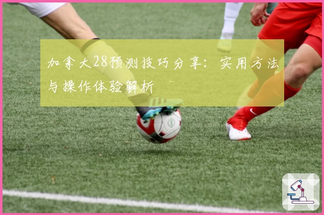 加拿大28预测技巧分享：实用方法与操作体验解析
