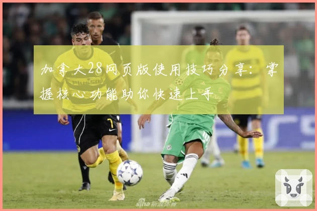 加拿大28网页版使用技巧分享：掌握核心功能助你快速上手