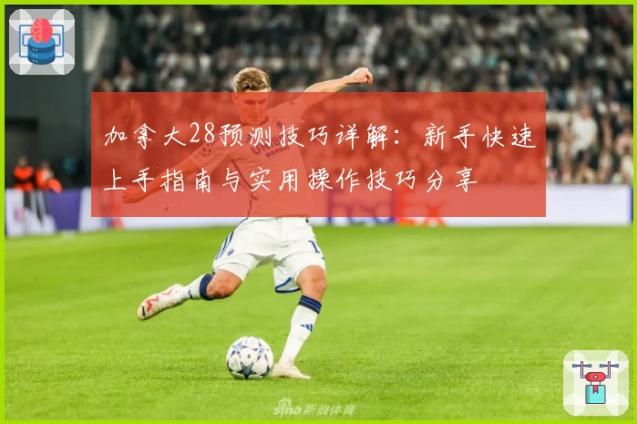 加拿大28预测技巧详解：新手快速上手指南与实用操作技巧分享