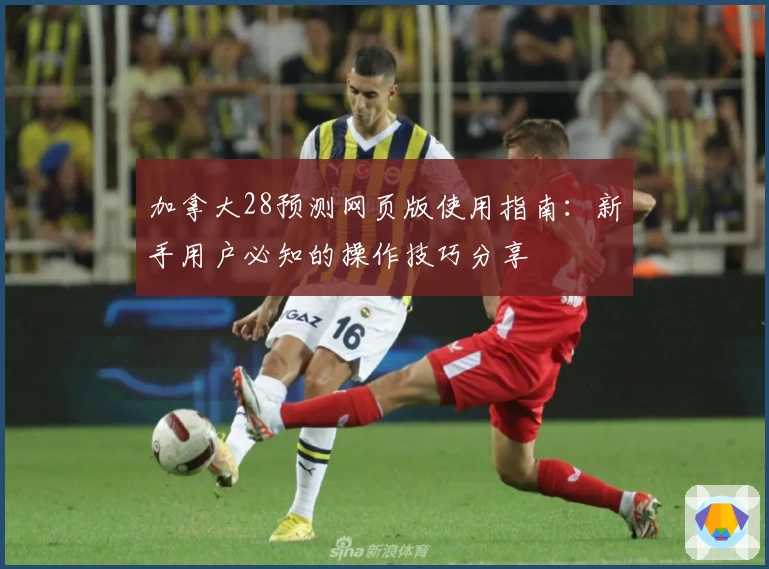 加拿大28预测网页版使用指南：新手用户必知的操作技巧分享