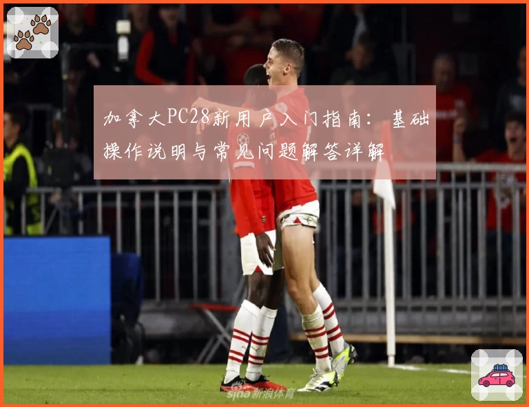 加拿大PC28新用户入门指南：基础操作说明与常见问题解答详解