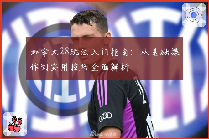 加拿大28玩法入门指南：从基础操作到实用技巧全面解析